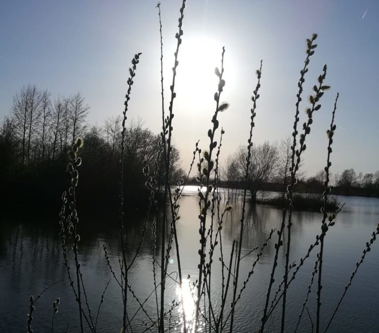 Stilstand of met andere woorden sta eens stil.